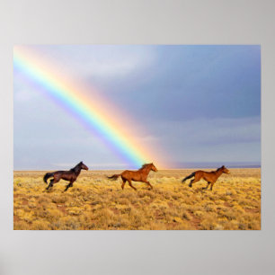 Poster Cavalos de Mustang Selvagem e Arco-íris