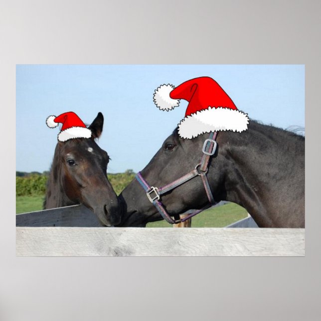 Pôster Cavalos de Natal (Frente)