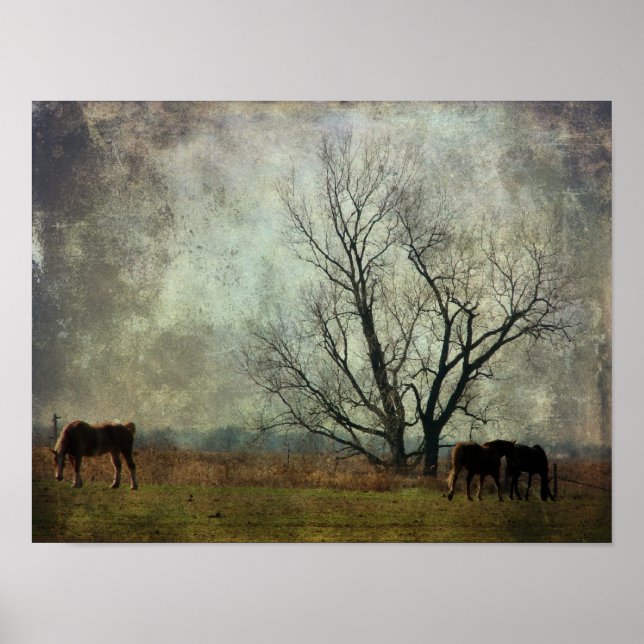 Pôster Cavalos de Rascunho no Campo (Frente)