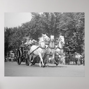 Poster Cavalos do Departamento de Bombeiros, 1925. Foto A