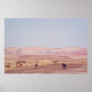 Poster Cavalos do Deserto Americano P8670