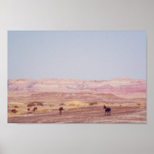 Poster Cavalos do Deserto Americano P8670