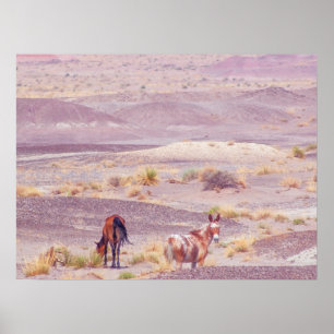 Poster Cavalos do Deserto P8639
