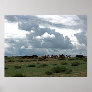 Pôster Cavalos do Mongolian