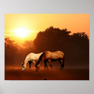 Poster Cavalos do nascer do sol