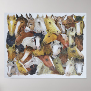 Pôster Cavalos dos cavalos