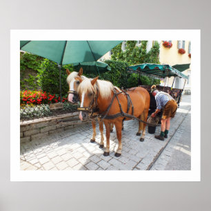 Poster Cavalos e carruagems de Wolfgang Rua