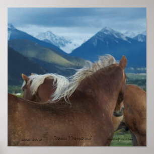 Poster cavalos e montanhas impressos da lona