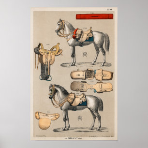 Poster Cavalos e selas