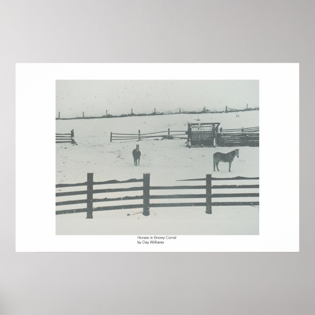 Pôster Cavalos em Snowy Corral (Frente)