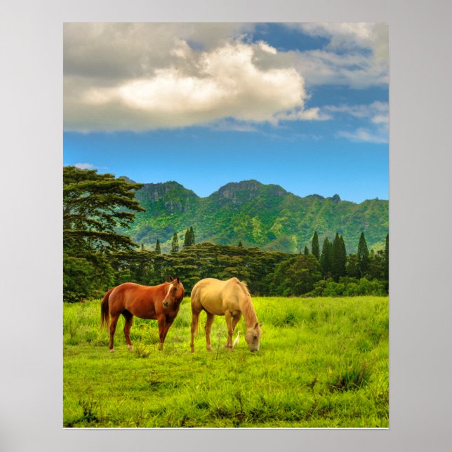 Poster Cavalos Havaianos, Pico de Hokulei, Kauai, Vertica (Frente)