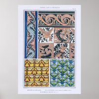 Cavalos-marinhos, Lagartos, Borboletas, Borboletas