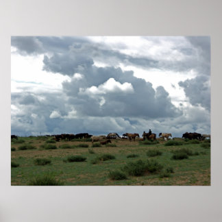 Pôster Cavalos mongoleses