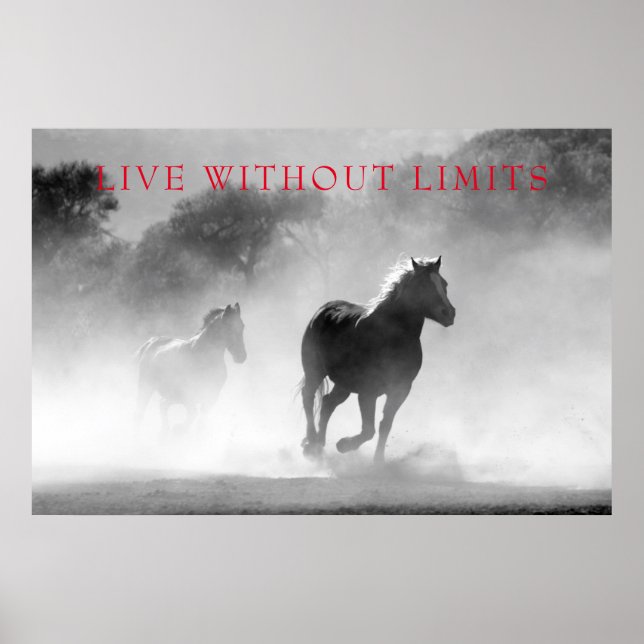 Poster Cavalos Motivacionais Vivem Sem Limites (Frente)