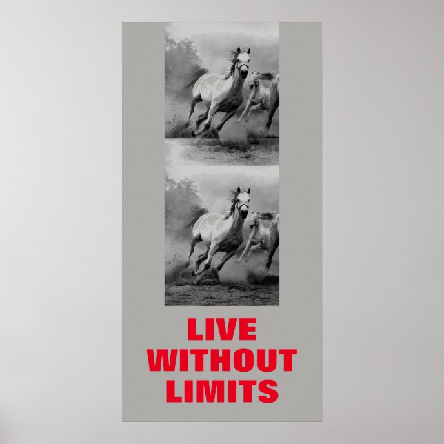 Poster Cavalos Motivacionais Vivem Sem Limites De Arte Po (Frente)