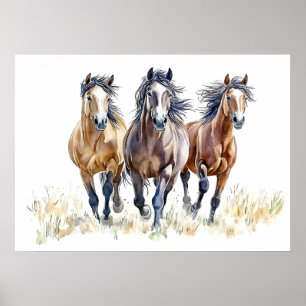 Poster Cavalos Mustang Selvagens e Livres do Oeste