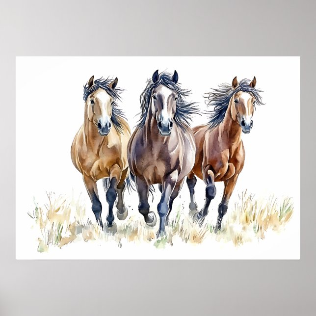Poster Cavalos Mustang Selvagens e Livres do Oeste (Frente)