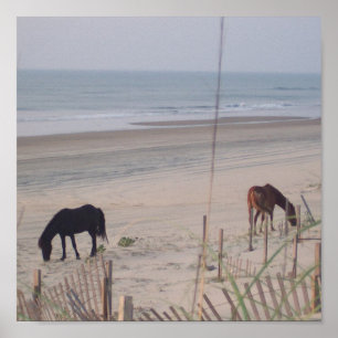 Pôster Cavalos na areia