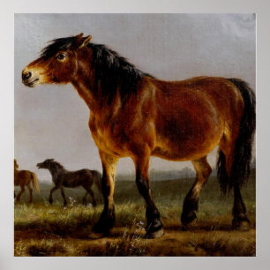 Poster Cavalos na Paisagem Plana