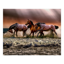 Pôster Cavalos na praia