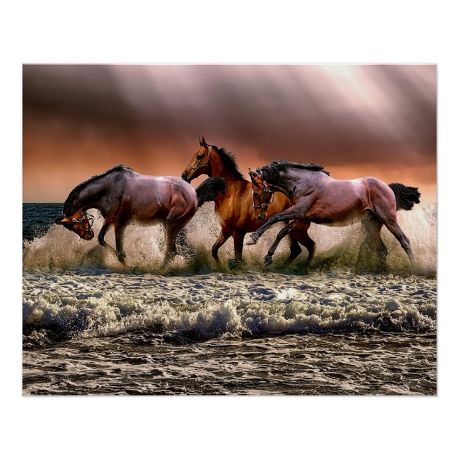 Pôster Cavalos na praia (Frente)