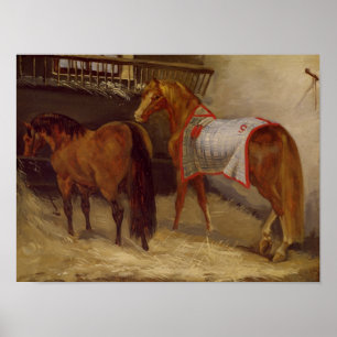 Pôster Cavalos nos estábulos