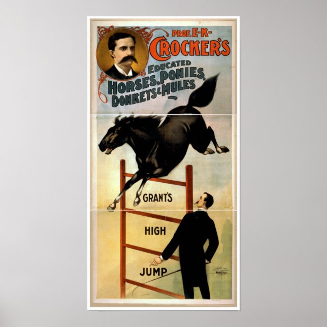 Pôster Cavalos, pôneis, burros e Mules (Frente)