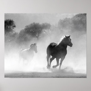 Pôster Cavalos que funcionam na névoa preto e branco