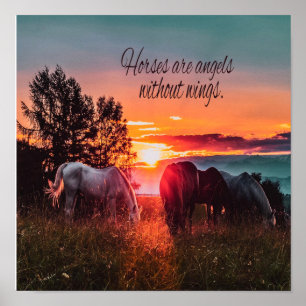 Poster Cavalos são anjos sem asas