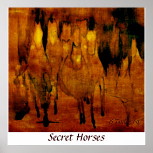 Pôster Cavalos secretos