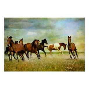 Pôster Cavalos Selvagens
