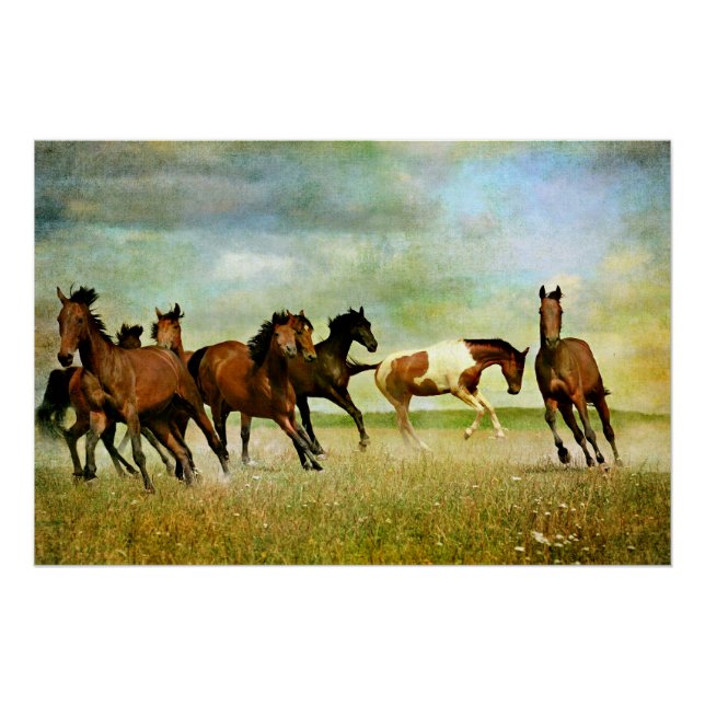 Pôster Cavalos Selvagens (Frente)