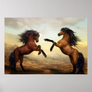 Pôster Cavalos Selvagens