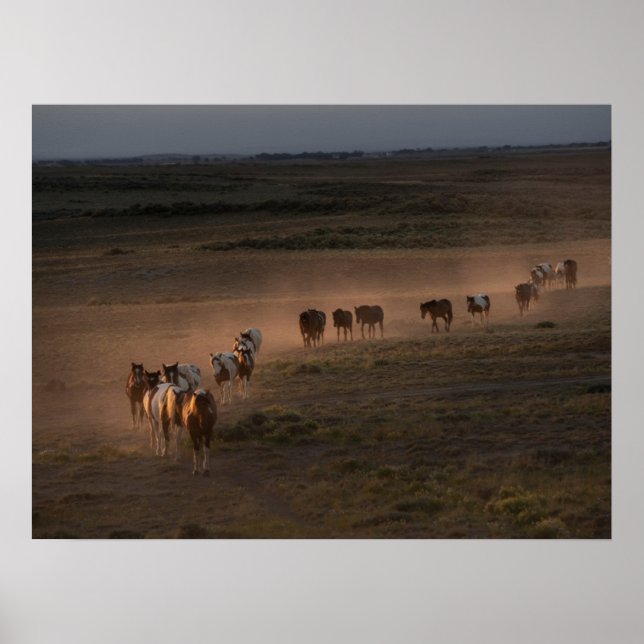 Poster Cavalos Selvagens Caminhando Para O Deserto (Frente)