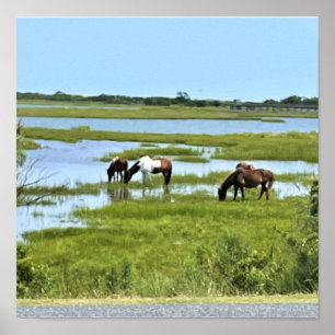 Poster Cavalos Selvagens de Assateado