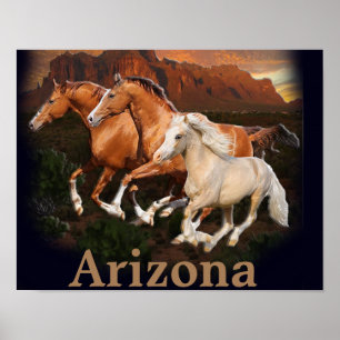 Poster Cavalos Selvagens do Arizona