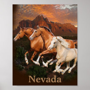 Poster cavalos selvagens do Arizona