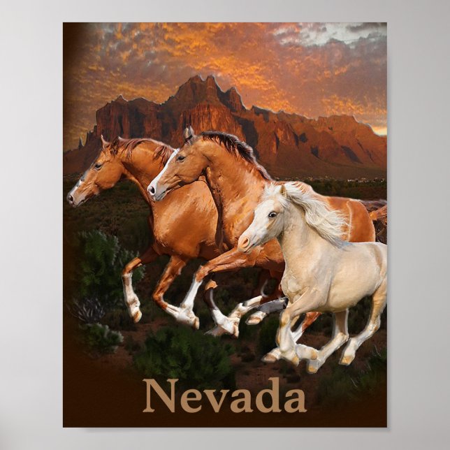 Poster cavalos selvagens do Arizona (Frente)