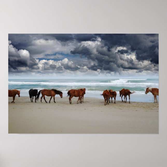 Poster Cavalos Selvagens Outros Bancos Corolla NC (Frente)