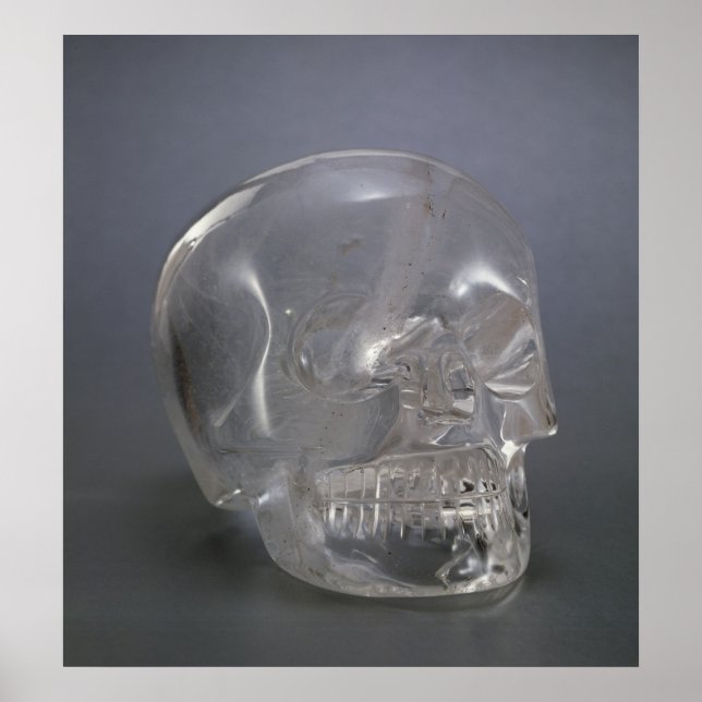 Pôster Caveira (Frente)