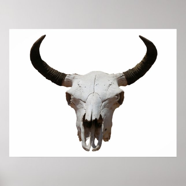 Poster Caveira (Frente)