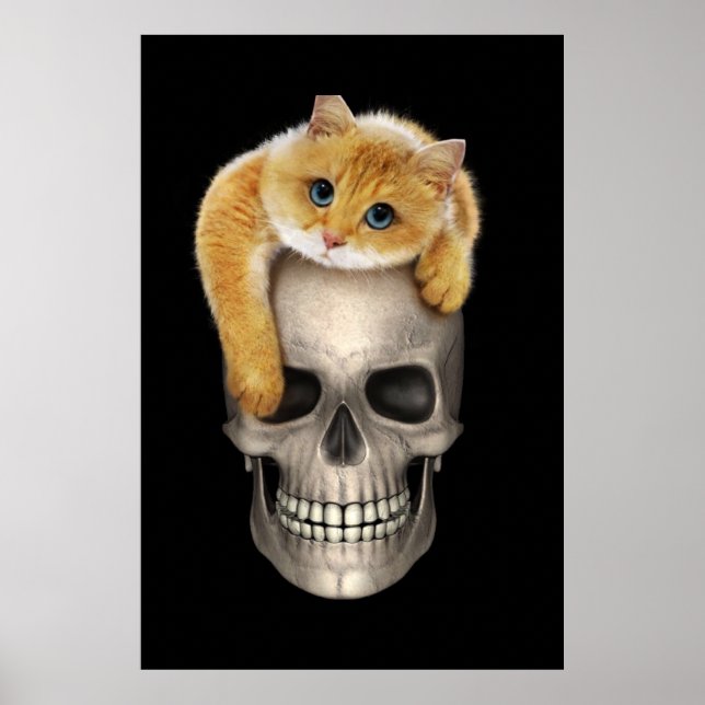 Poster Caveira e Gato (Frente)