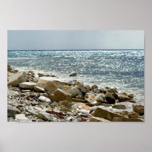 Poster Caveira e mar