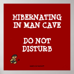 Pôster Caverna do Homem Hibernante