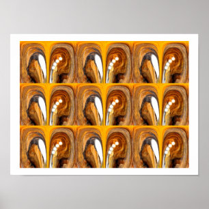 Poster Cavernas