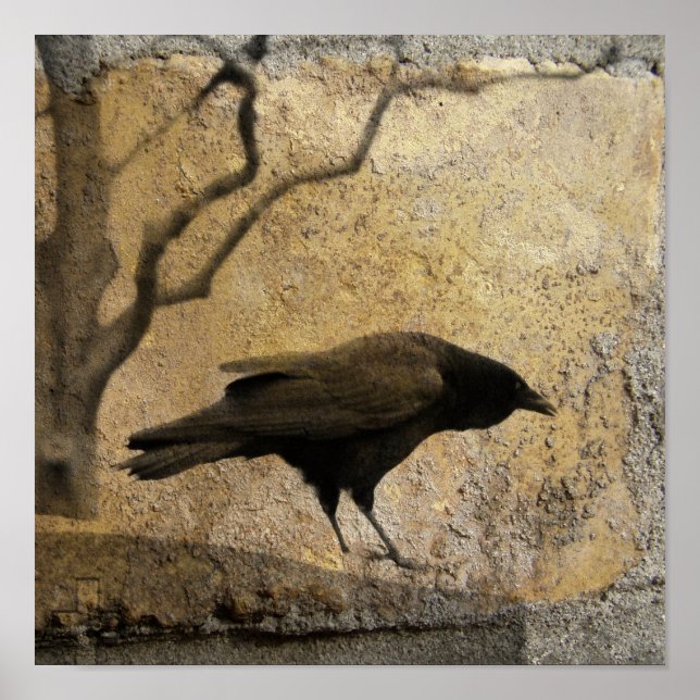 Poster Caw Gótico (Frente)