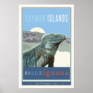 Pôster Cayman Islands