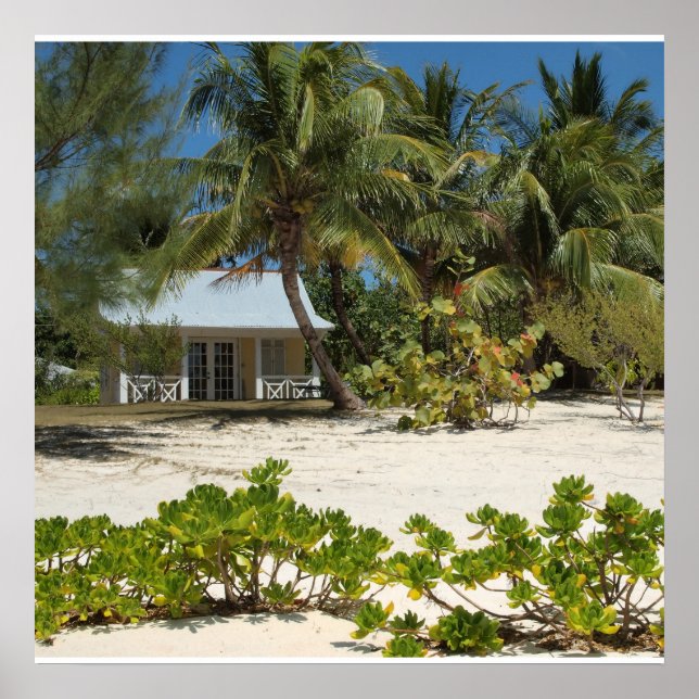 Pôster Cayman Islands Beach House (Frente)