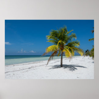 Poster Cayo Blanco Beack in Cuba