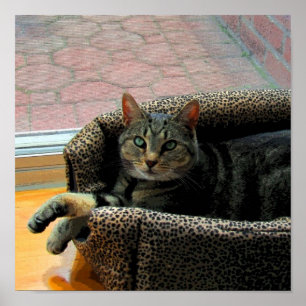 Poster CB bonito do índigo da menina